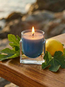 Marine + Bergamot — 5.6oz Luxury Soy/Coco Candle